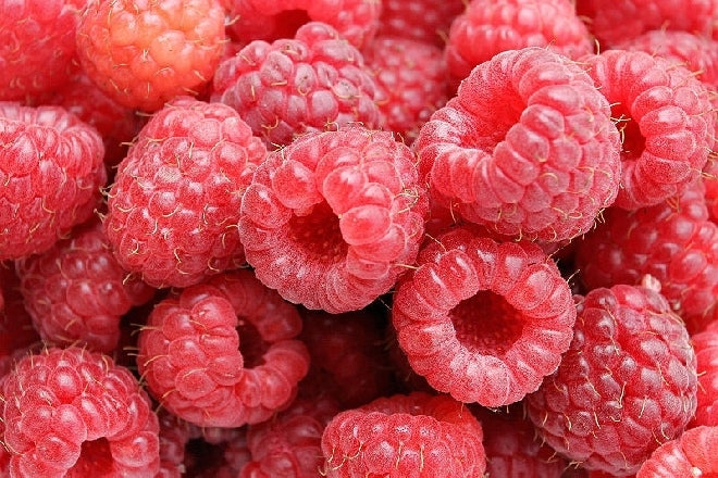 Meeker Raspberry
