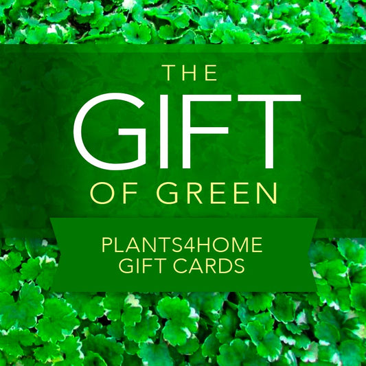 Plants4Home Gift Cards