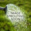 img-coming-soon-sprout
